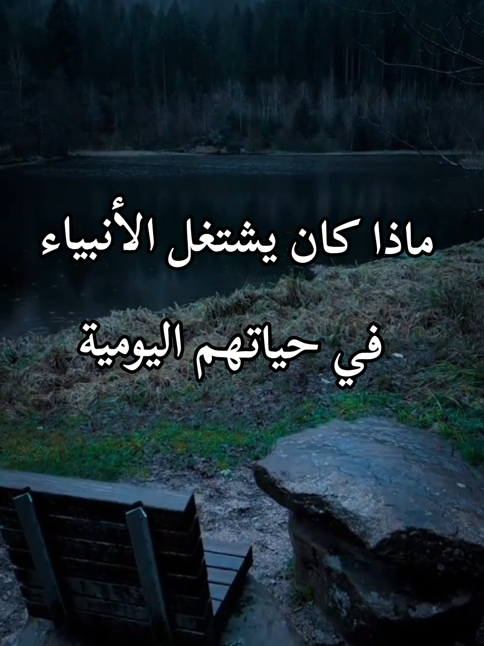 الشنقيطي✓ماذا كان يشتغل الأنبياء في حياتهم اليومية #الشنقيطي #قصص_الأنبياء #قصص_دينيه #قصص_واقعية #قصص_حقيقيه #اللهم_صلي_على_نبينا_محمد #fyp 