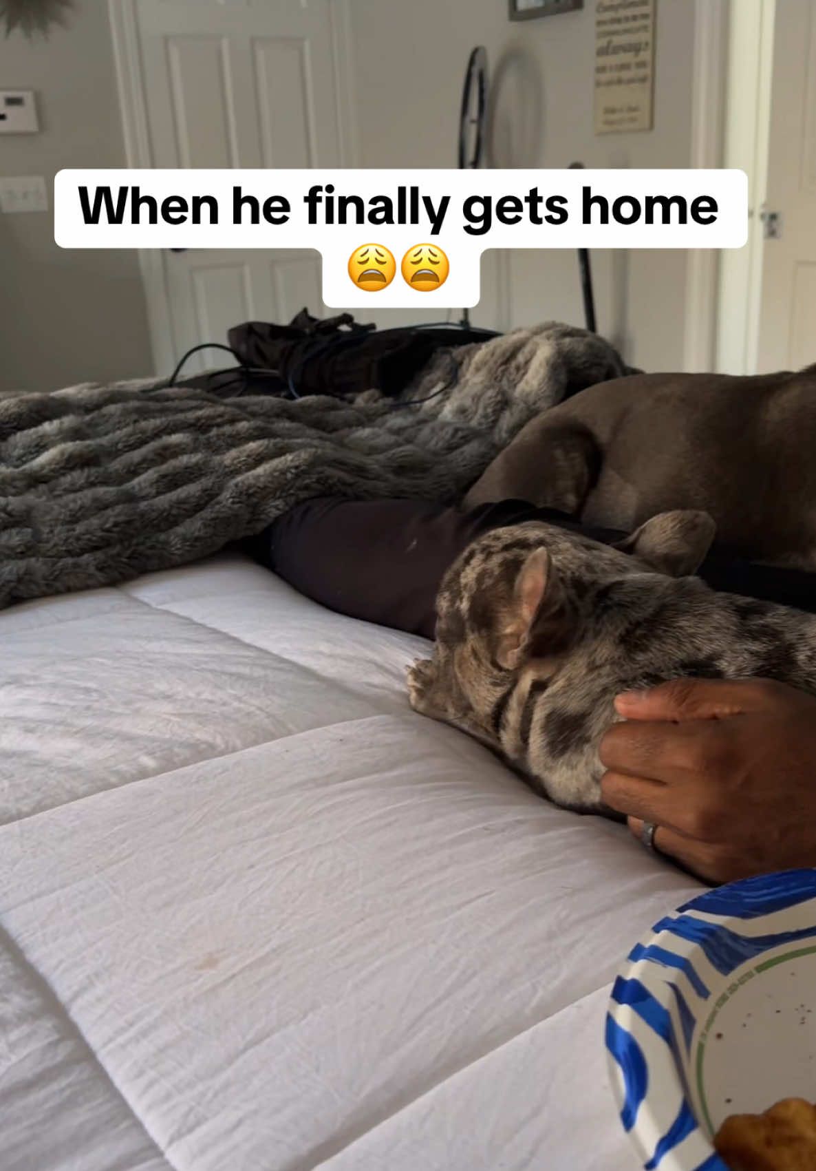 You can tell that he’s Home sweet Home.. Home is literally were the heart is & where we are most comfortable.. #snooze #homesweethome #comfortable #prestons 