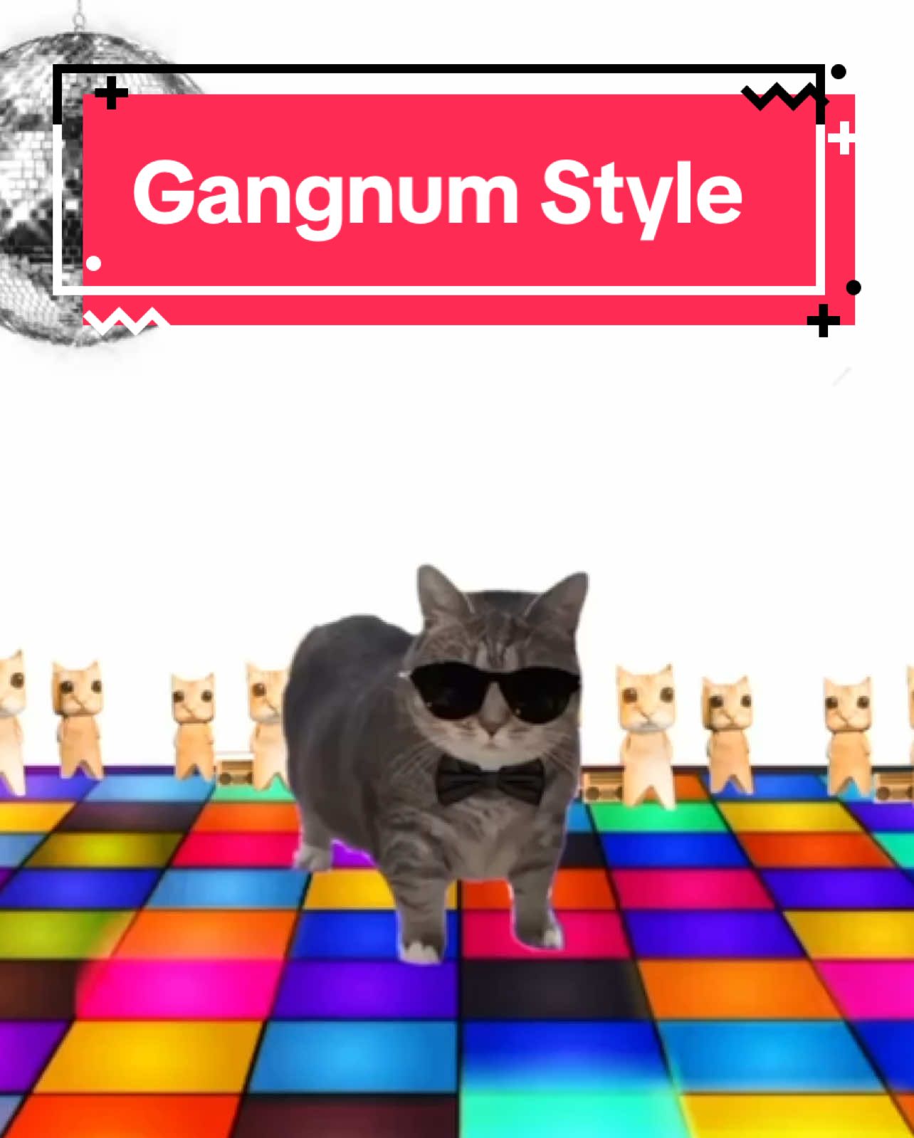 OIA cat sings Gangnum Style! #cats #catsoftiktok 