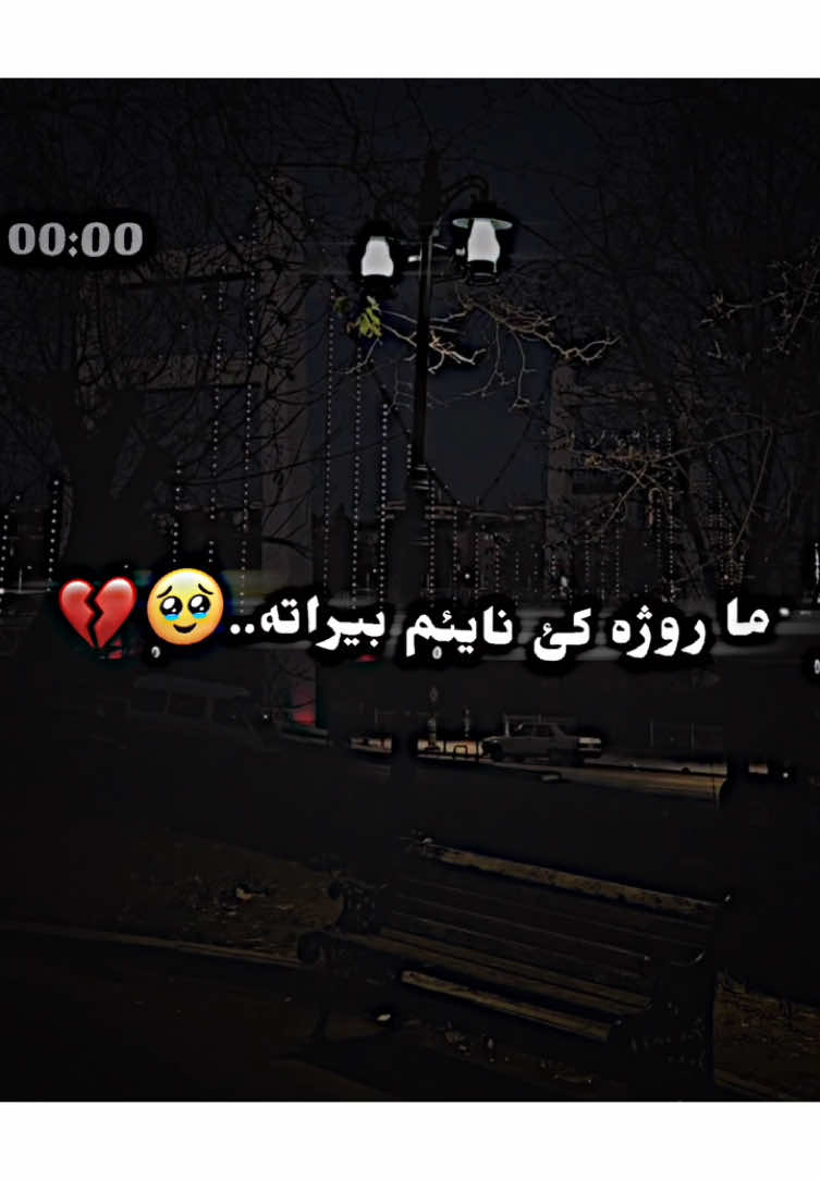 #00_00king #foryoupage #زاخو_دهوك_هولير_سليماني_ئاكري_سيمي #foryou #لايك__explore___ #video 