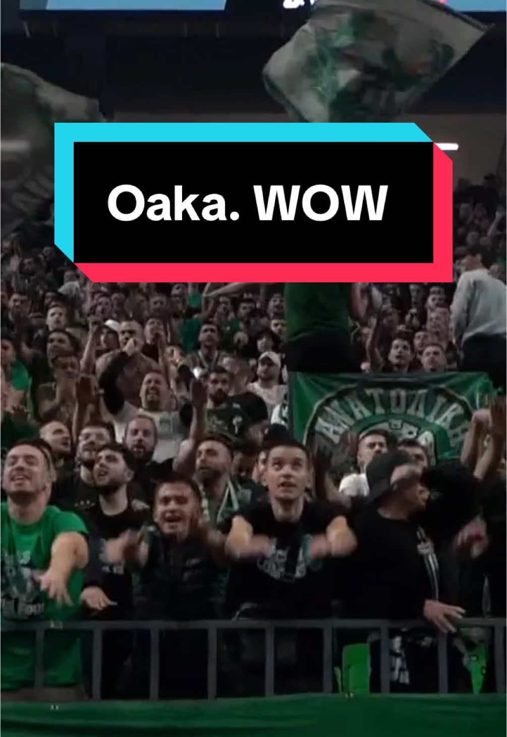 Nights at the Oaka are just different 😅🔥 #euroleague #atmosphere @Panathinaikos BC #oaka 