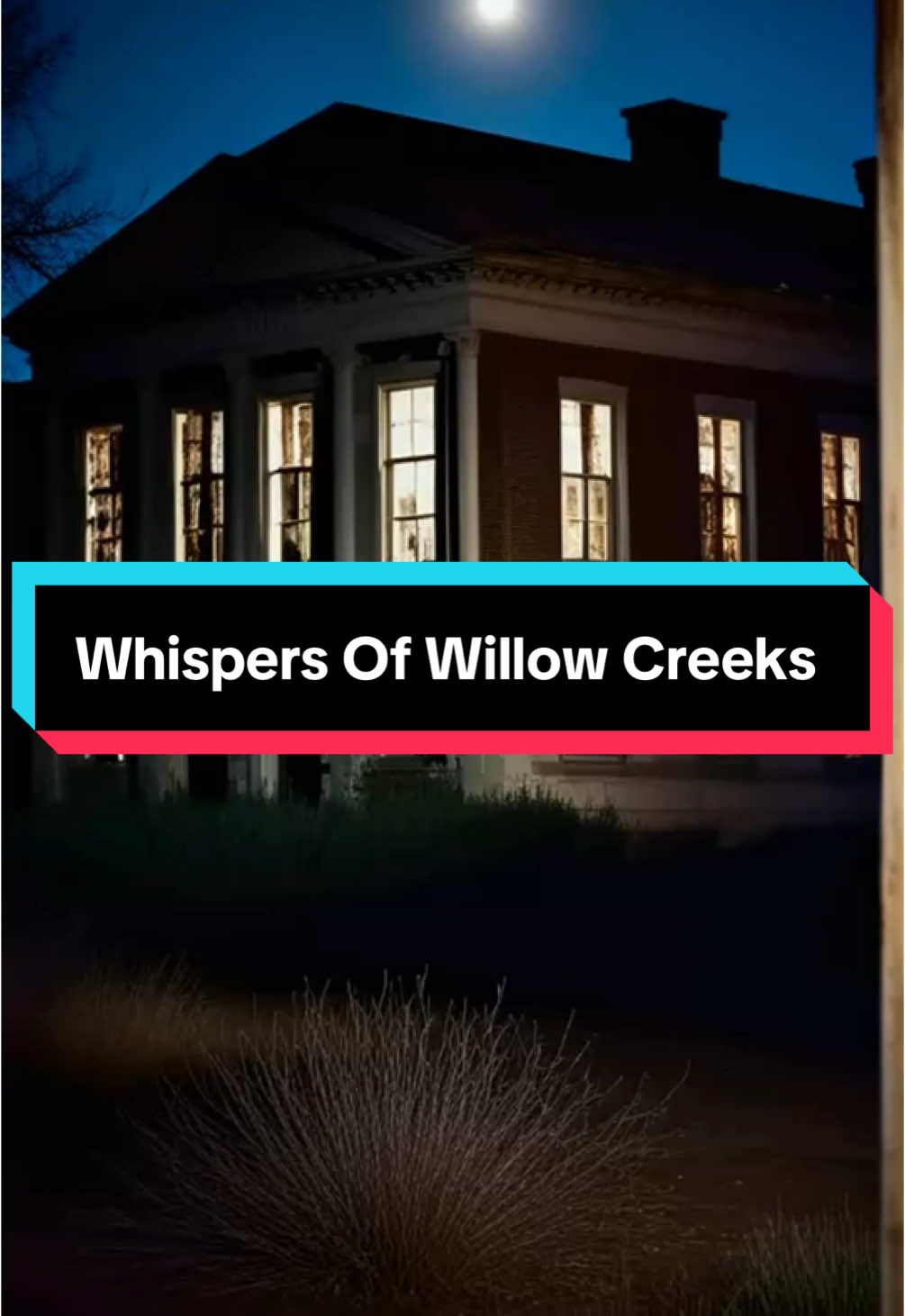 Welcome back to The Haunting Hour as we explore the chilling history of Willow Creek Asylum, where the echoes of tortured souls linger amidst decaying walls. Once a facility notorious for its inhumane treatment of patients, the asylum now stands abandoned, shrouded in mystery and sorrow.  Join a group of brave urban explorers as they document their harrowing experience inside, capturing eerie sounds, inexplicable shadows, and overwhelming feelings of dread. With each step deeper into the asylum, the line between the living and the departed blurs, culminating in a gripping encounter within the infamous Room 13.  Will they leave with their sanity intact, or will the spirits of Willow Creek claim another victim? Dare to join us on this spine-tingling journey into the unknown. #HauntedAsylum #GhostStories #UrbanExploration #ParanormalActivity #WillowCreek #viral_video #fyp 