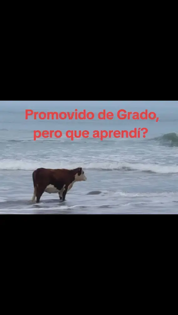 #fyp #sadstory #paratiiiiiiiiiiiiiiiiiiiiiiiiiiiiiii #promocion #universidad 