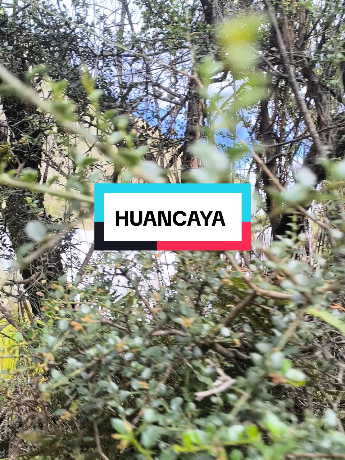 Huancaya _ Vilca 📍2D/1N 📌Está ubicado a solo 7 horas de lima en la reserva paisajistica nor Yauyos Cochas . S/169 por persona  😎Salimos cada fin de semana 😎 más info 961764338 #solteros #valle #febrero #busparrandero #paratiiiiiiii #amigos #fiesta #fyb #angelitoviaja #huancaya #chuco 