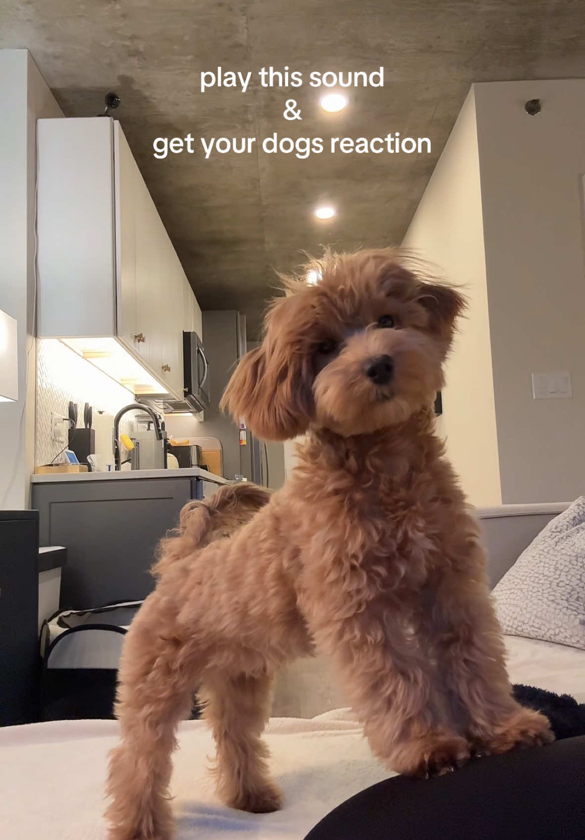 not the hesitation bestie 