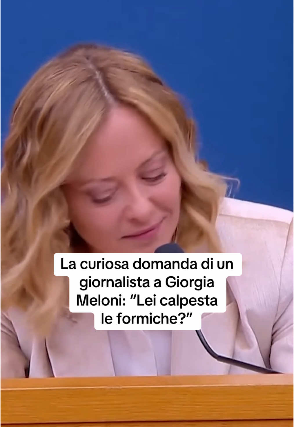 Lo ha detto la premier Giorgia Meloni nel corso della conferenza stampa con i giornalisti rispondendo alla domanda del giornalista di Vista che le chiede se lei quando cammina calpesti le formiche e che, secondo un proverbio di sua nonna ‘quando si calpestano le formiche poi piove’.