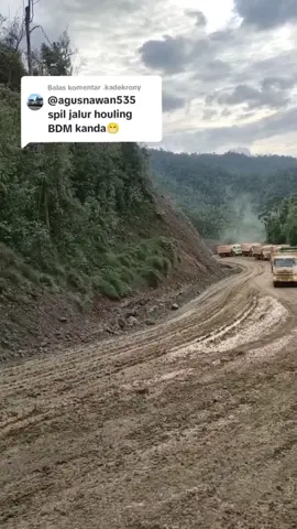 laki-laki-hidup-kerja-mati 😇 #fypp ##tambangnikelmorowali #kingkan430 