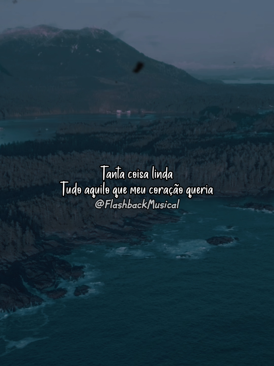 🎙 Roberto Carlos 🎵 O Grande Amor da Minha Vida #robertocarlos  #ograndeamordaminhavida  #mpb  #nostalgia  #anos2000  #Flashback  #flashback  #lyrics  #tipografia  #musicaparastatus  #goodvibes 