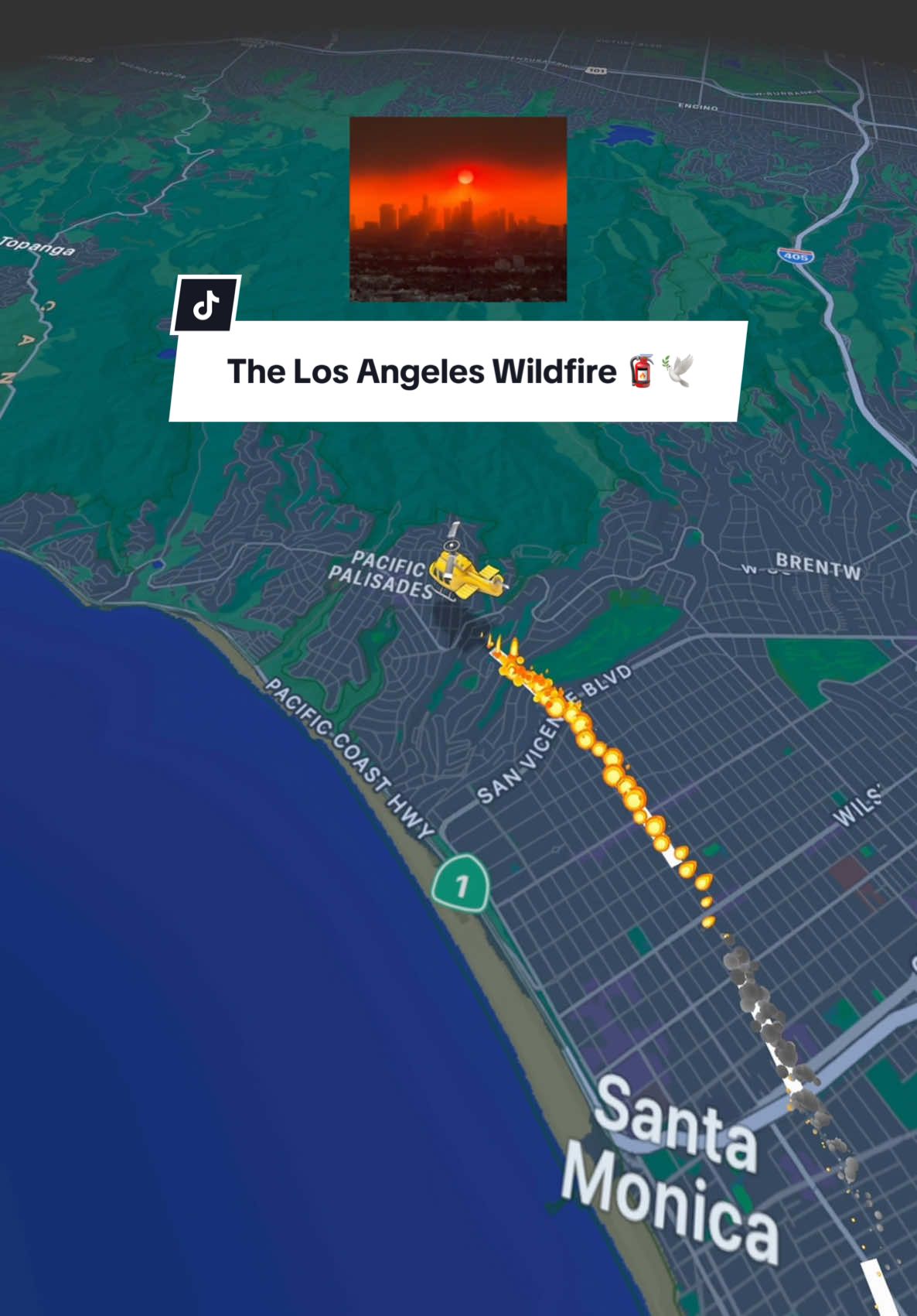 The Los Angeles wildfires 🧯🇺🇸🕊️ Stay Safe | #LosAngeles #Wildfires #palisadesfire #Usa #bushfire #211 #breakingnews #california | What happend in Los Angeles | what is going on in Los Angeles | wildfire California | footage | Palisades fire | Hollywood sign 