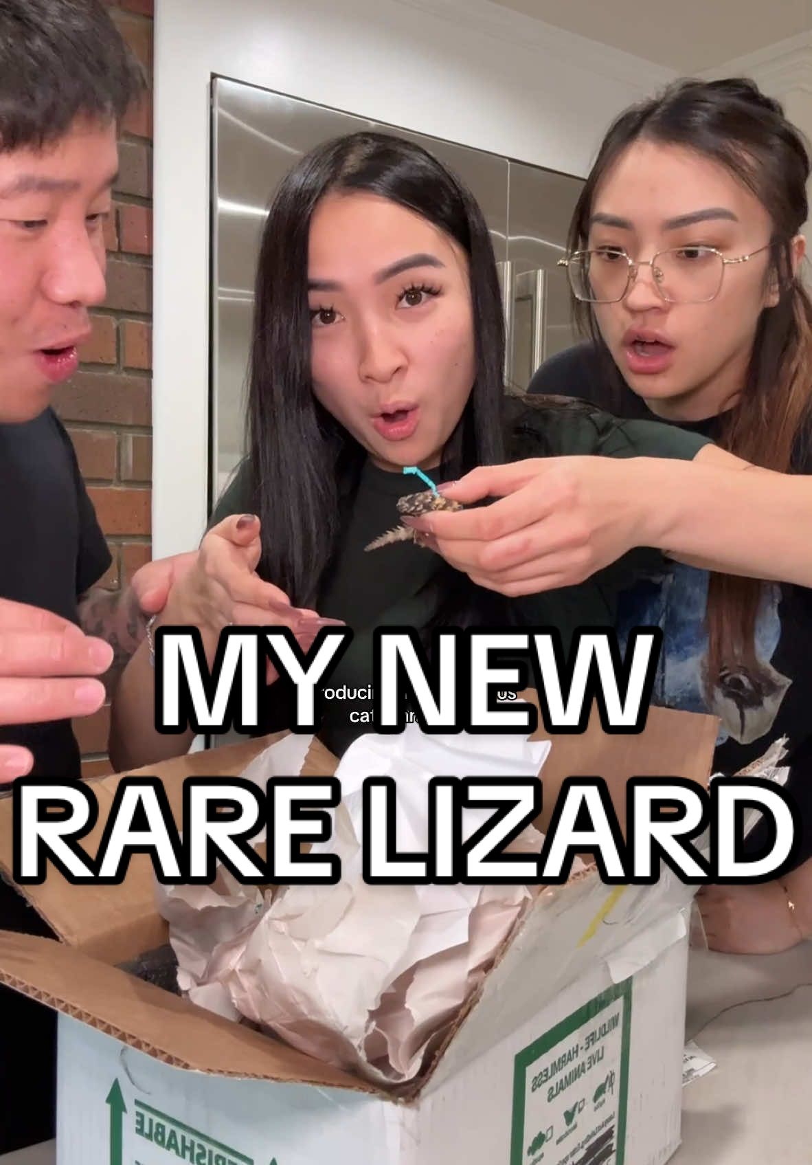 Meet my new rare pet. I can’t believe that I finally was able to get one! This is a dream come true🥹 help me think of a name down below! 