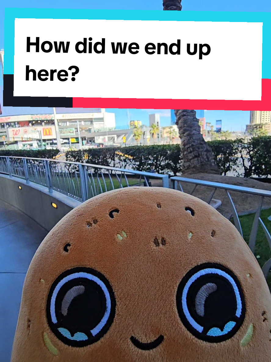 Shark nuggie is WHERE?! #Sadnuggie #shark #aquarium #sadnuggiesadventure #missingsharknuggie #sadnuggiesadoptioncentre #Nevada #bellagio #venetian #hollywood #lasvegas #sharkreef #mandalaybay #vegas #chickennugget 