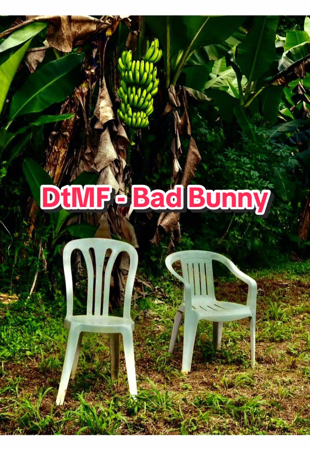 DtMF - Bad Bunny pt 1 🎵🔊  #badbunny #DtMF #letrasdecanciones #musicaparaestados #musicaparadedicar #tuslyricsfavs #debitirarmasfotos  