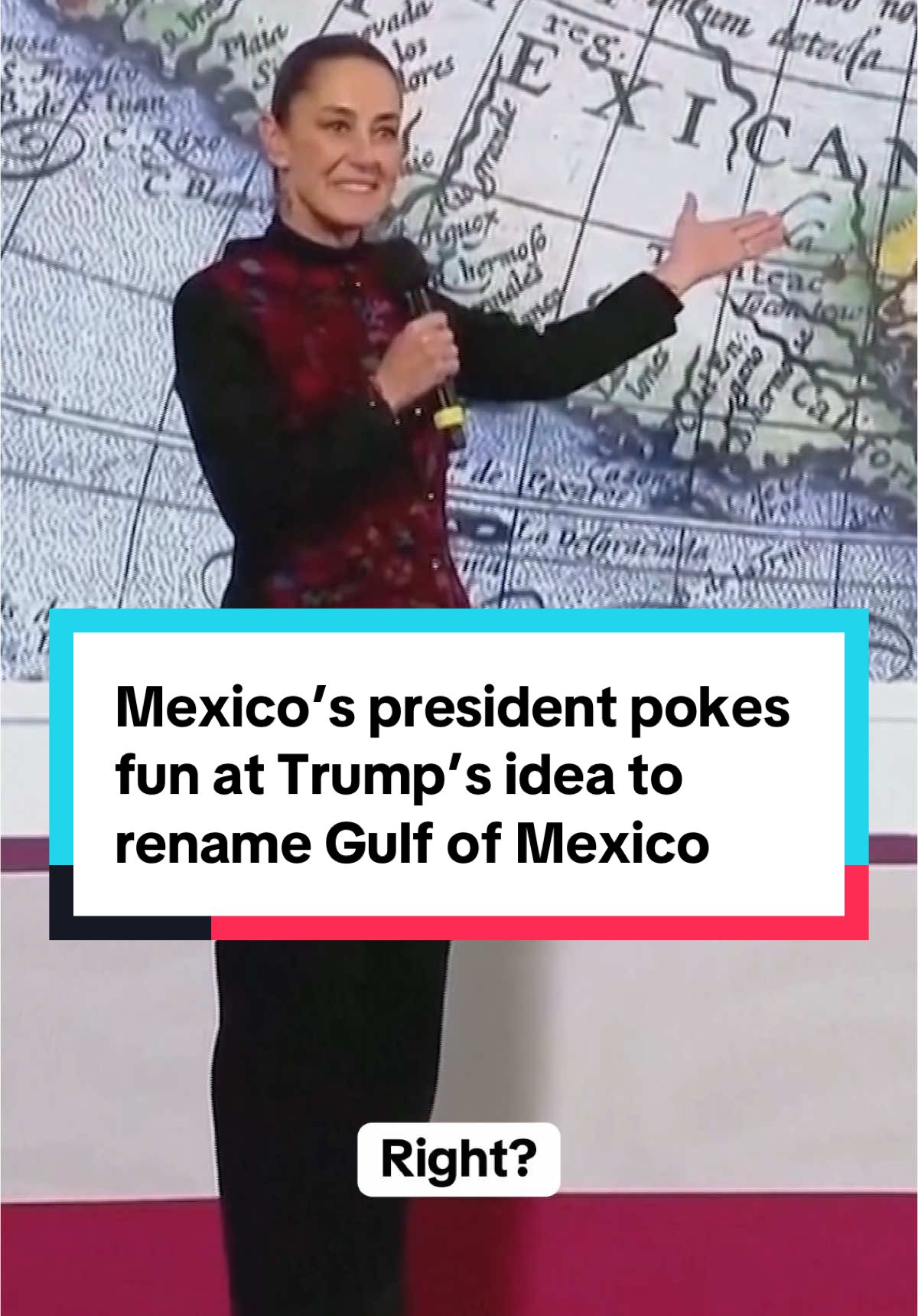 Mexico's President Claudia Sheinbaum poked fun at President-elect Donald Trump's declaration that he would rename the Gulf of Mexico to the 