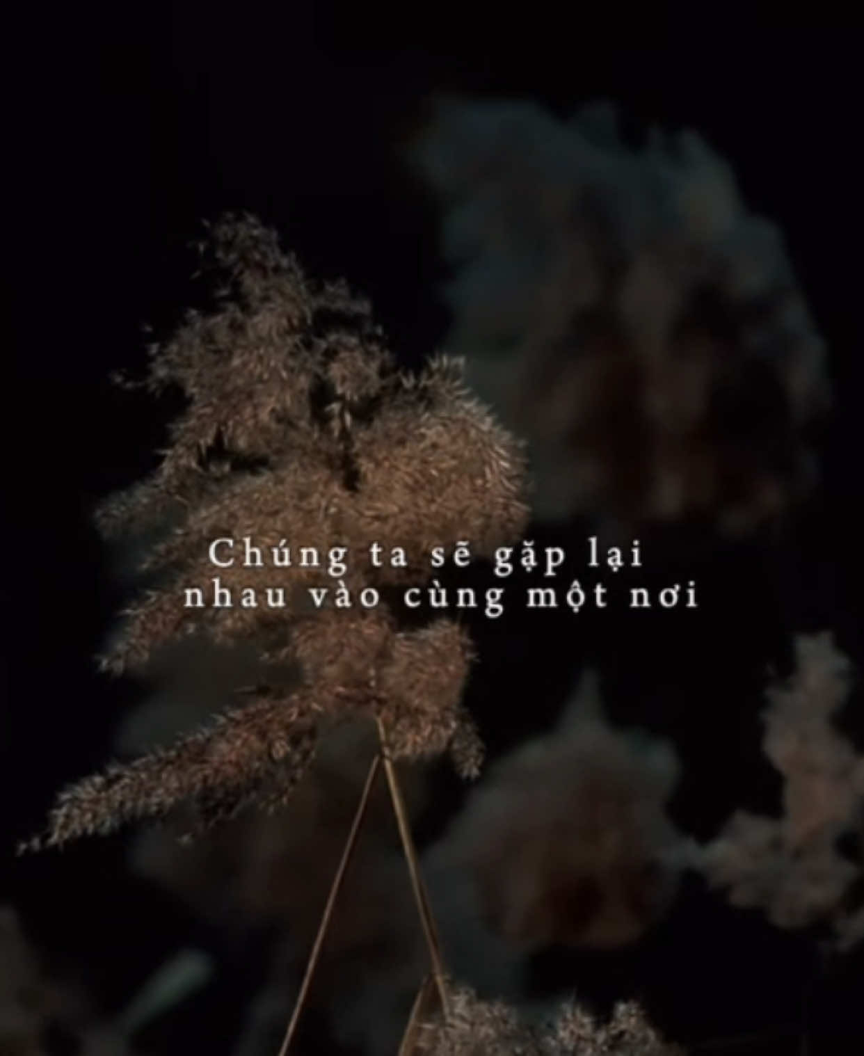 129600 chúng ta sẽ gặp lại nhau thêm một lần nữa…#khoi_31_8 #lyrics #xh #nhachaymoingay 