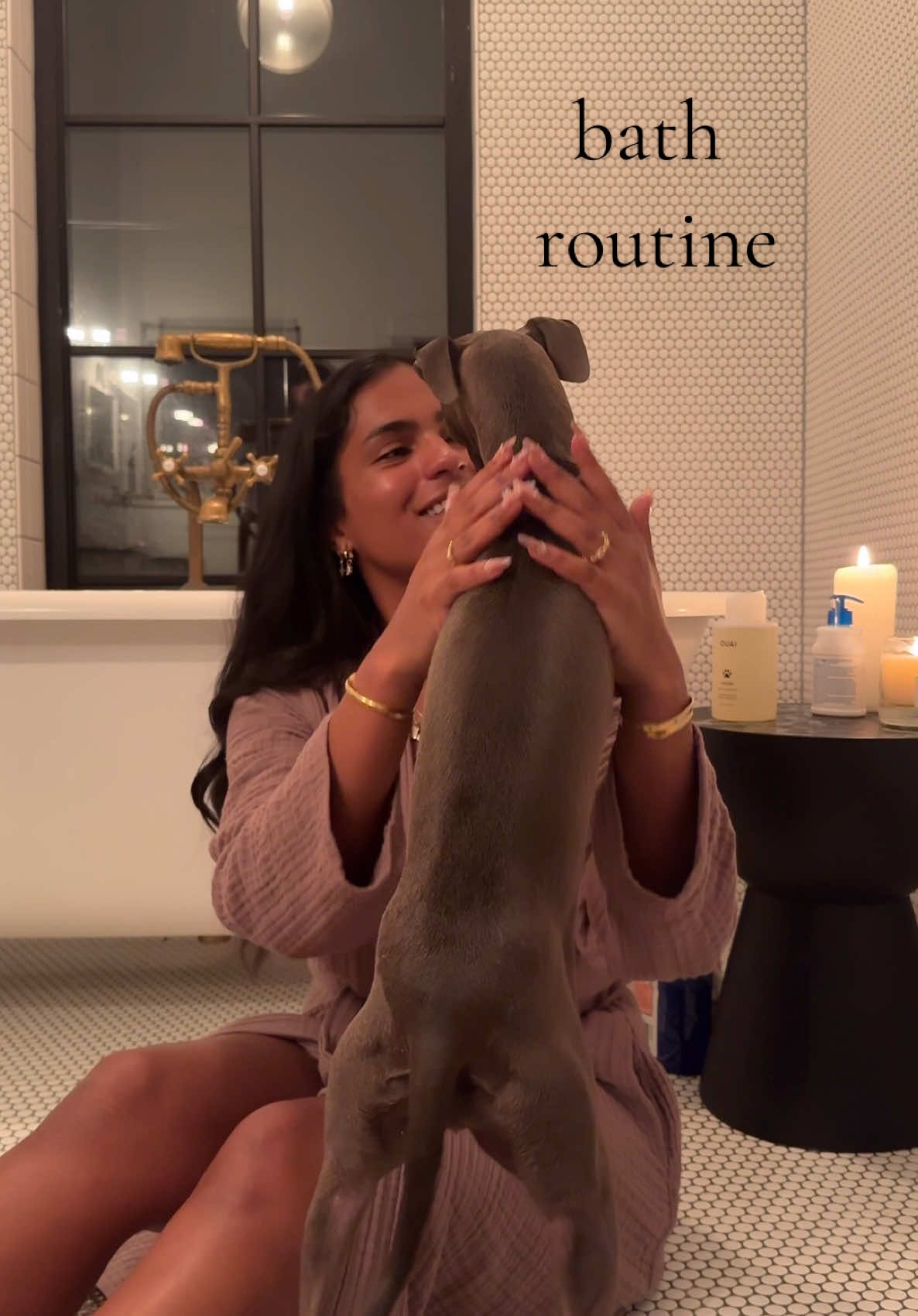 my spoiled puppies bath routine 🛁🫧  someone stop me from getting another italian greyhound OMG. she’s my favorite thing in the world 