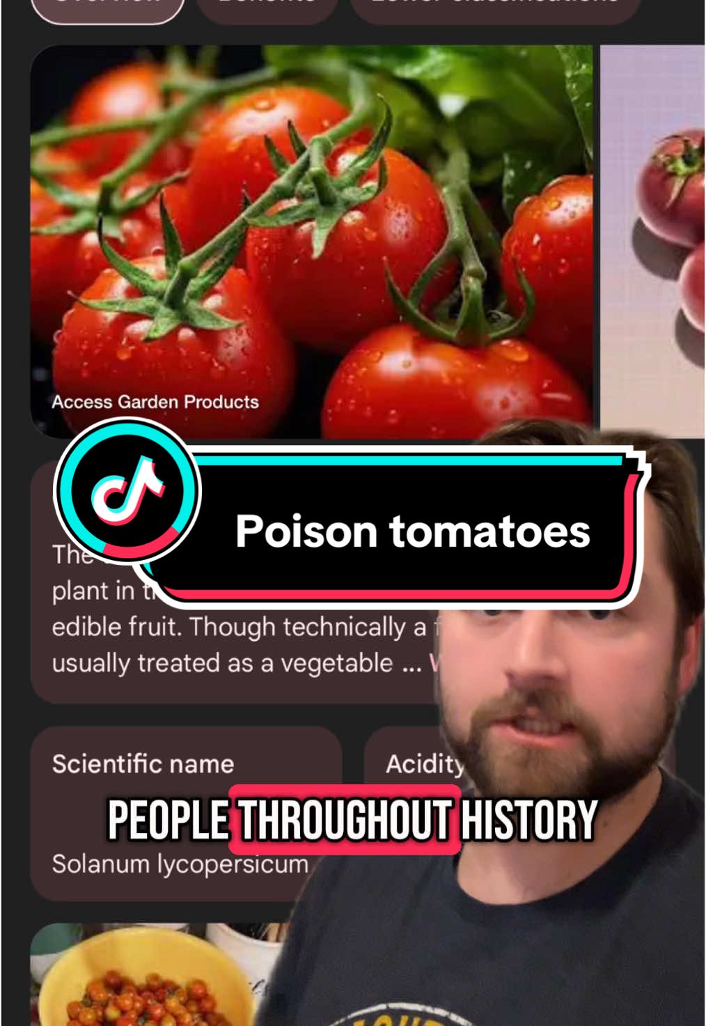 Replying to @Hasan #greenscreen when tomatoes were poisonous #history #berd #education #learn #story