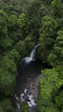 kekiro belum Ado agenda sore Minggu mandi kesini ajo Kito 📍air terjun palak Siring #kopidronebengkulu #fpvdronebengkulu #fypシ゚viral #sewadronebengkulu #igrendy_bks #explorepage #JelajahLiburan 