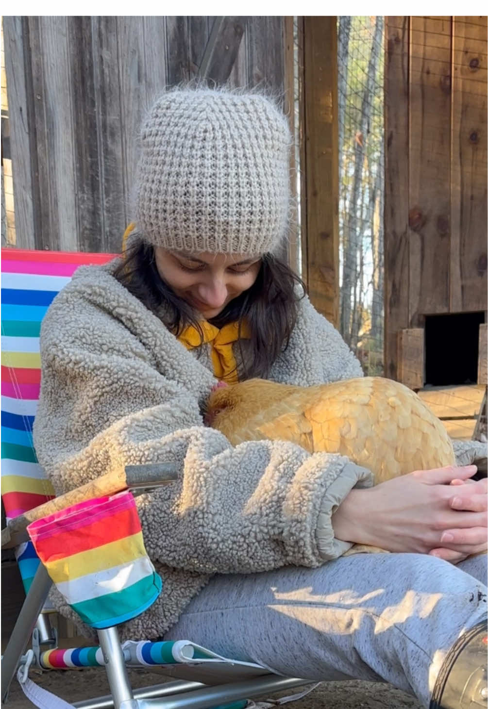 Just me and my fluffy potato 🥹🥹  #chickensoftiktok #chickensoftiktok🐔 #chickenmom #backyardchickens #cuteanimals #ilovemychickens #animalsoftiktok #chickentherapy #calmingvideos #chickensaspets #backyardchicken 