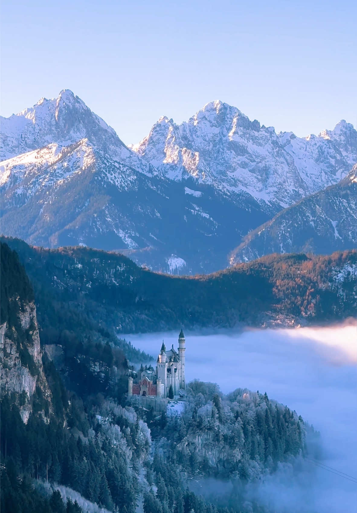 beautiful Schloss Neuschwanstein in Winter ❄️ #schlossneuschwanstein #neuschwanstein #winter #snow #schwangau #bayern 