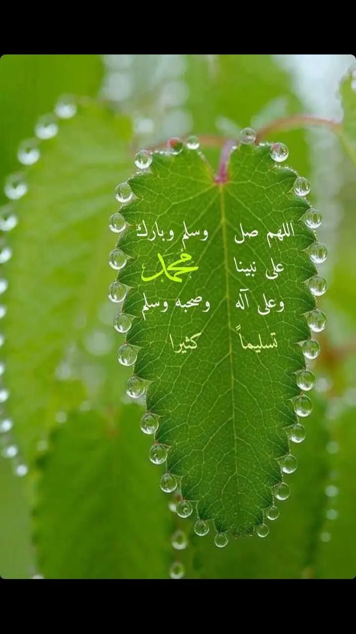 عليه الصلاة والسلام 🌹🌹🌹