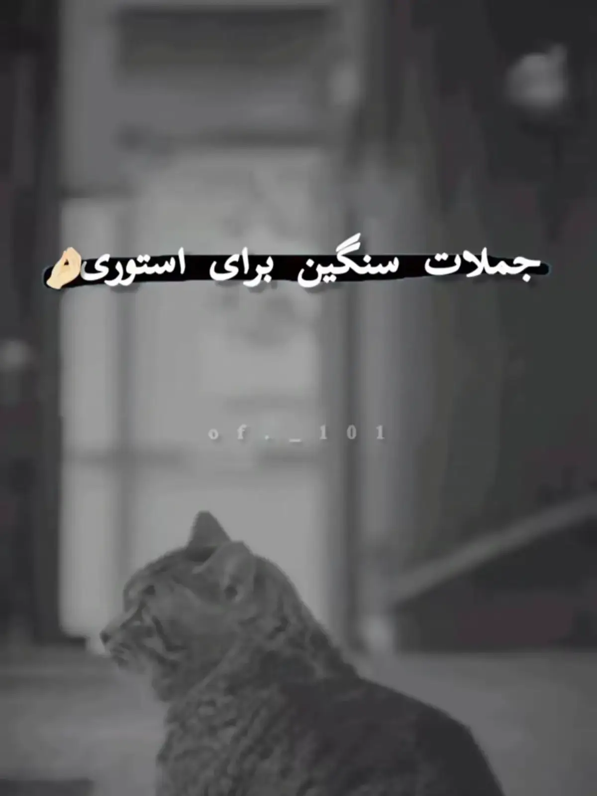 #جمله______های______غمگین____   #تاجیک_هزاره_ازبک_پشتون_ترکمن🇦🇫 #viral_video_tiktok #tik_tok_foryoupage #1millionviews 