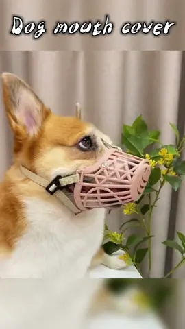 Mouth cover for dogs  #mouthcover #dogmuzzle #dogmuzzleforsafety #dogmuzzletraining #DogTraining #doglovers #dogsoftiktok #fyp #foryou  