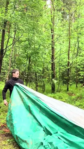 construction of a log cabin part 1#build #bushcraft #fyp #outdoor #wildernesscrafters #shelter