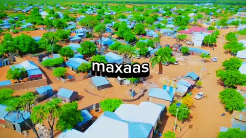 maxaas 🌴 @Cabaas cadoow @aargoste @Munasar2 @AARKA XAWAADLE @Qeys__Qiso🇸🇴 #xawaadle_mohamett_🇸🇧_🐅_🔫 