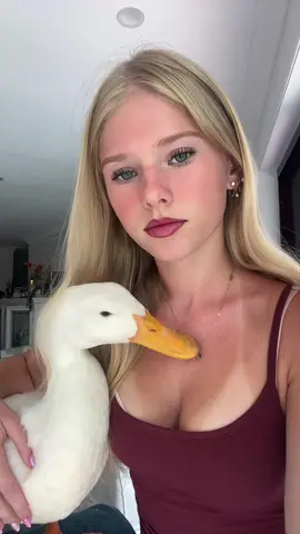 ducky #duck 