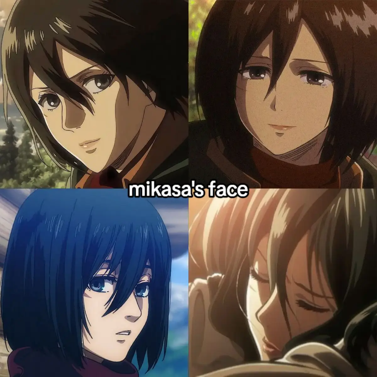 everything about mikasa ackerman 🛐 #mikasaackerman #AttackOnTitan #aot #snk #shingekinokyojin #fyp #foryoupage #foryou 