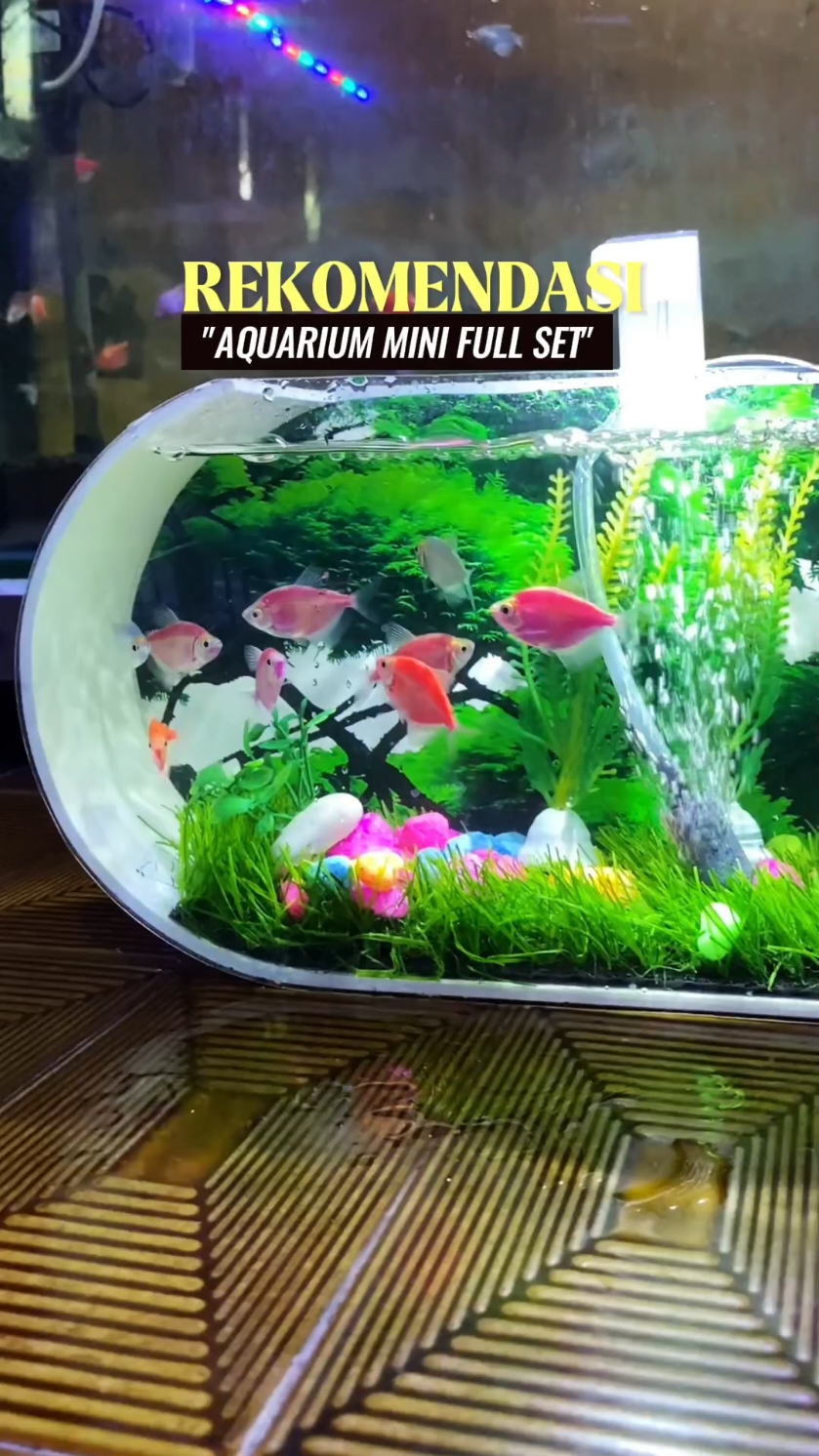 aquarium estetik full set, bikin mata segar kamu wajib punya #aquarium #aquariummini #aquariumfullset #aquariumfish #aquariums #dekorasiaquarium #aquariummurah #abcxyz 