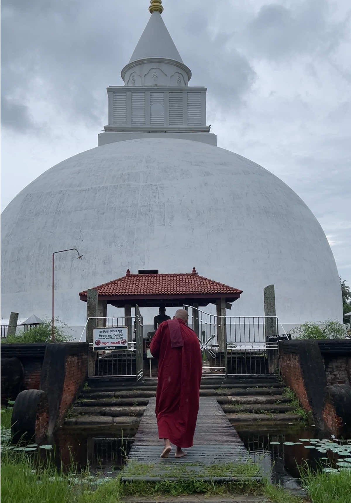 මැරෙන්න කලින් ඇයි ඉපදෙන්නේ කියලා හොයාගන්න. 🍃 @Akampitha | අකම්පිත 