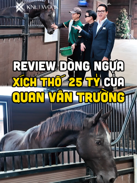 Review dòng ngựa xích thố trị giá 25 tỷ Việt Vam Đồng của Quan Vân Trường - Được ví như 1 chiếc Ferrari chạy bằng cỏ có thể chạy 5 ngày 5 đêm trên sa mạc mà không cần nạp nhiên liệu? #storytelling #dailyvlog #Lifestyle #review #vtmgr #longervideos #Tiktokshortfilm #duongmanhkien #knetwork #harrykien #nguaxichtho #quanvantruong #Ferrari #ngua #AkhalTeke