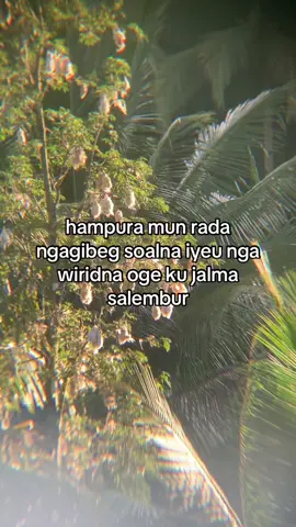 #storysunda #sundakeun #storysunda🍁 #storysunda🥀 #fouryou #barudaksunda #katakatasunda #masukberanda #katakatasundafyp 