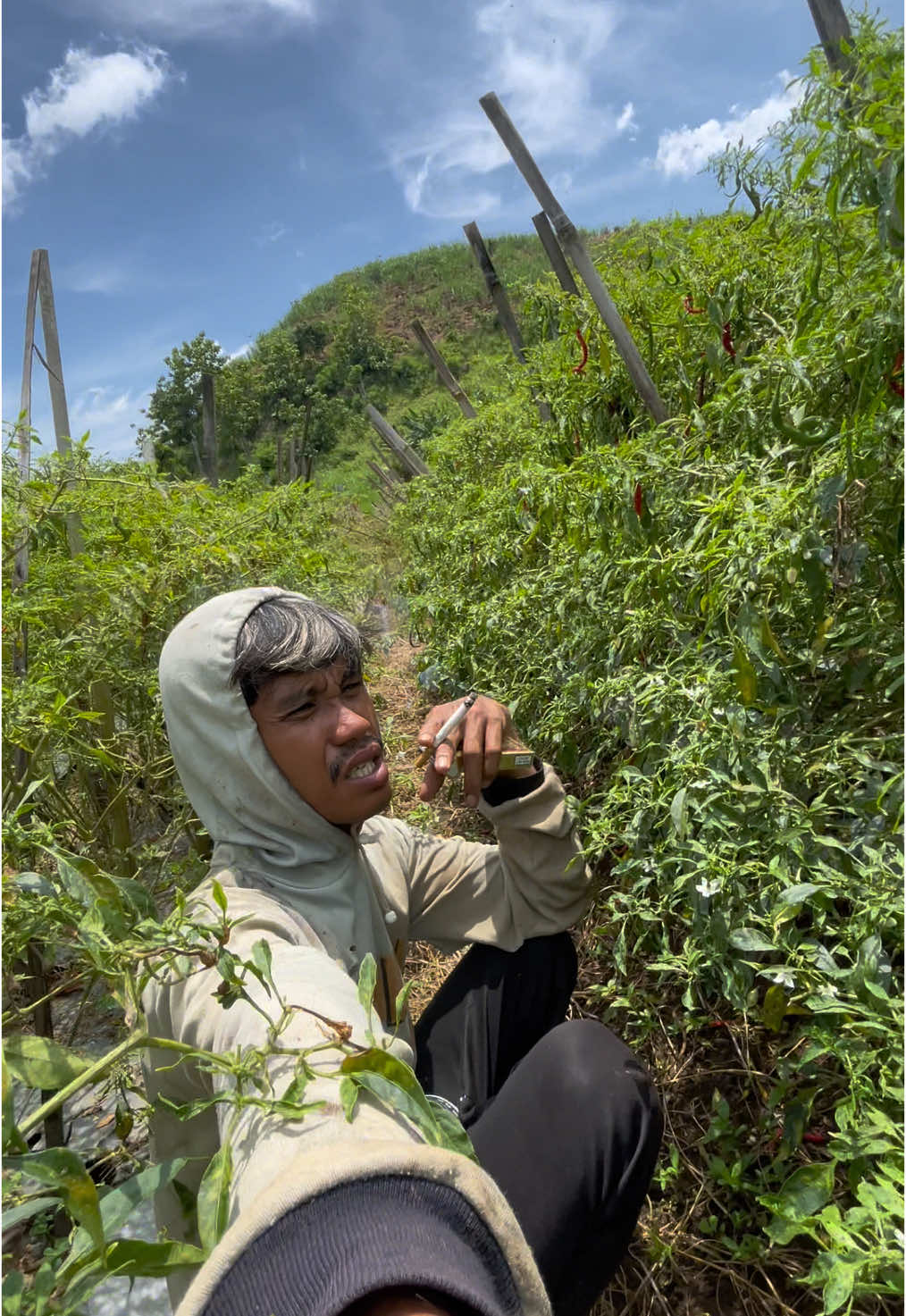 Bukti nyata buah ke tiga