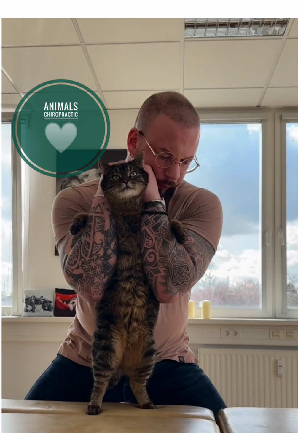 Animals with back pain 🥹🥹 • • • #foryou #asmr #animal #animals #tiere #chiropractortiktok #türkiye #dogsoftiktok #hundeauftiktok #bochum #chiropractic 