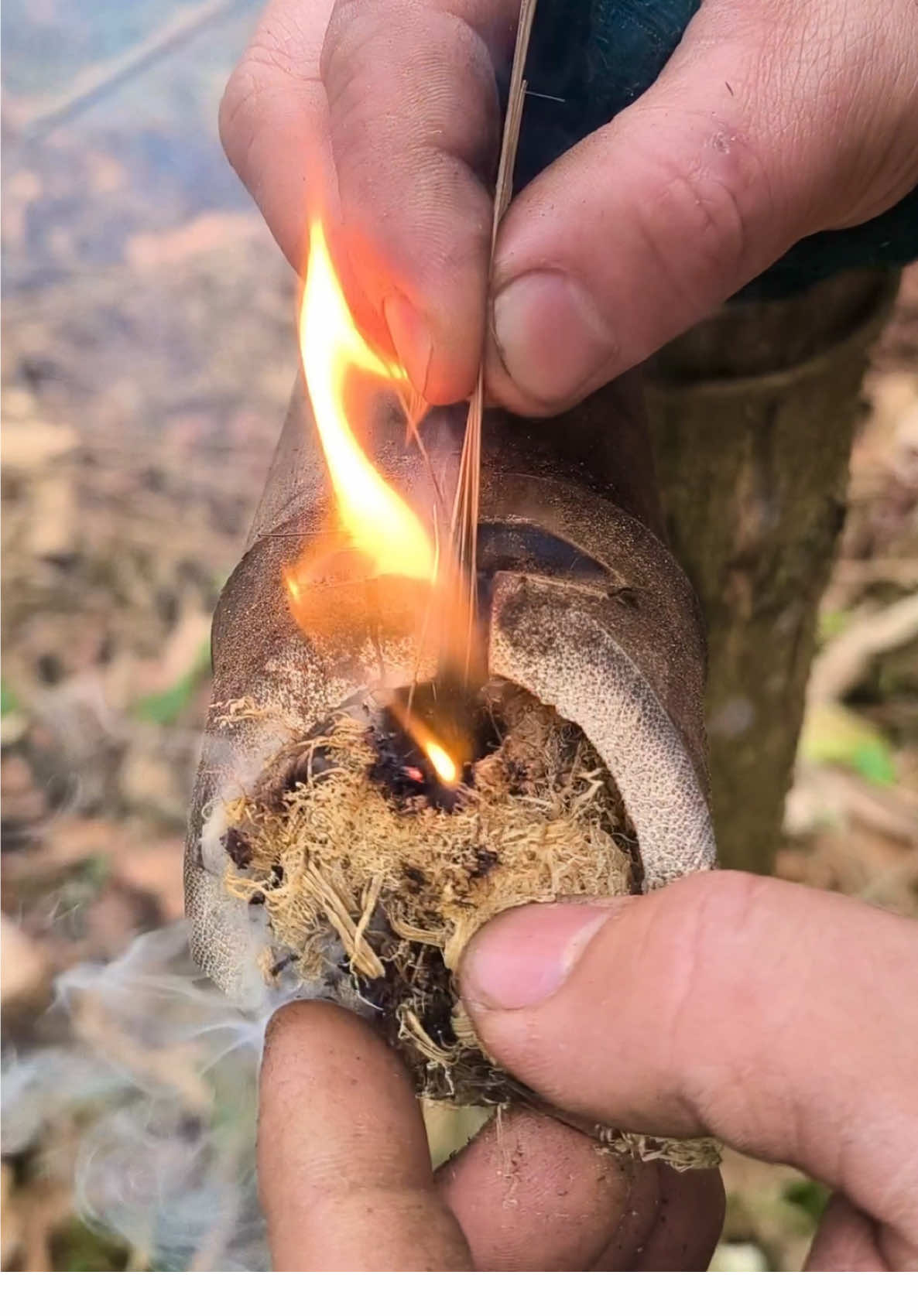 How to make fire for survival, primitive skill#survivalskills #survival #primitivefiremaking #firemakingskils #firemaking #survivaljungle 