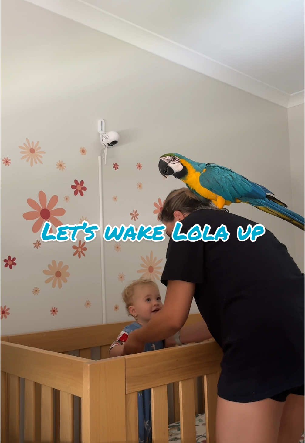 It was a hot day in so Malibu was inside with us and she wants to be involved in everything I do. I try to have as many encounters of the two girls together as possible while I 100% supervise always. #macaw #malibumacaw #toddlersoftiktok #firsttimemom #macawsoftiktok 