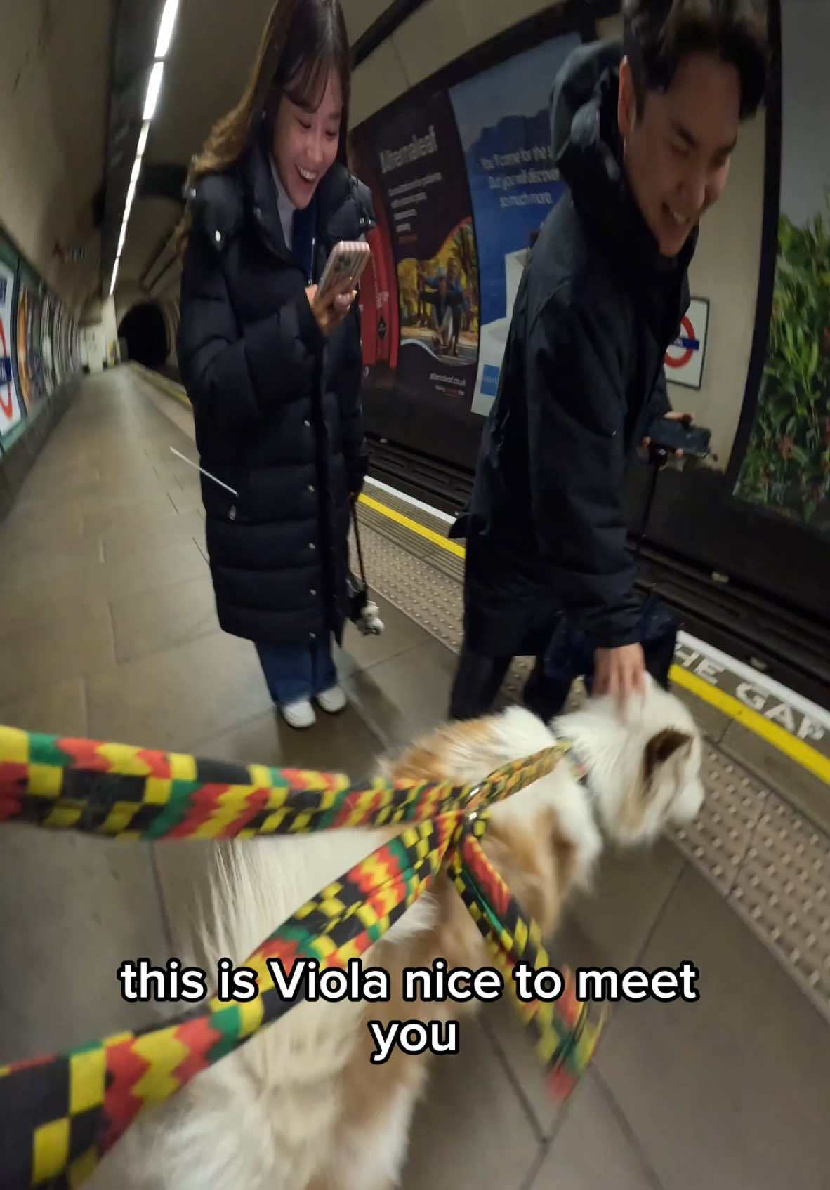 Interactions with my dog!!  #husky #viral #doglover #pets #dogoftheday #london #tube #fyp 