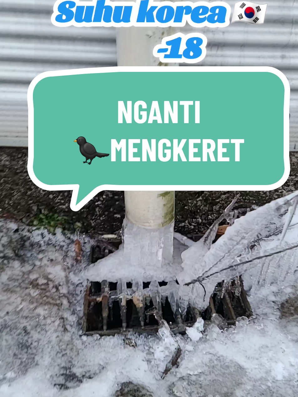 NGANTI MENGKERET 🤣