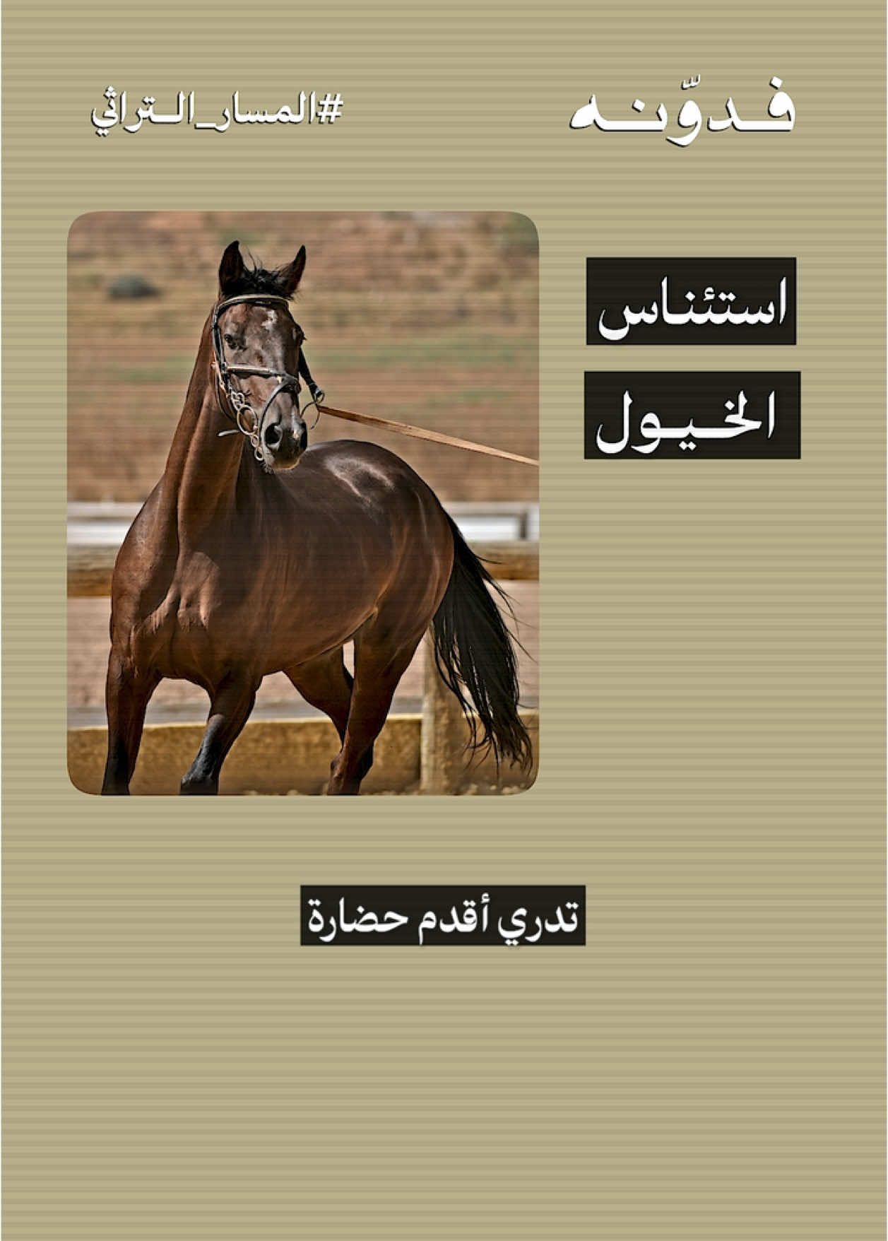 اقدم حضارة استأنست الخيل 🐎 وش تعرف عن وادي الدواسر؟