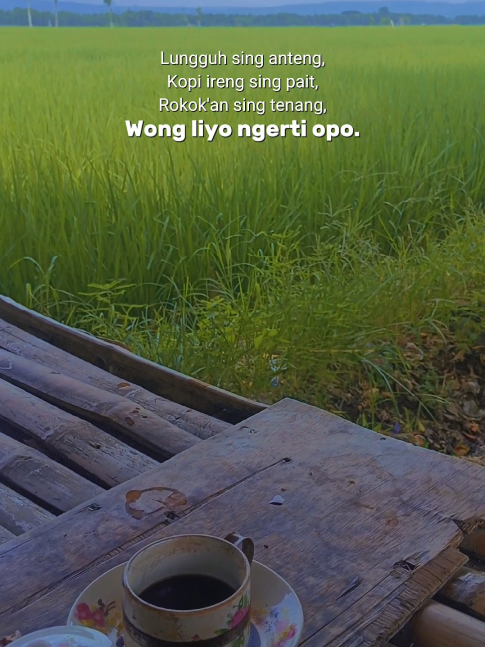 🙃 #kopi #warkopsawah#sawah#caption#fyp#viral#kopiviral#sawahan #kopikenangan #capcut #trending #viral #video #videoviral #captions #jowostory #kopinyeni