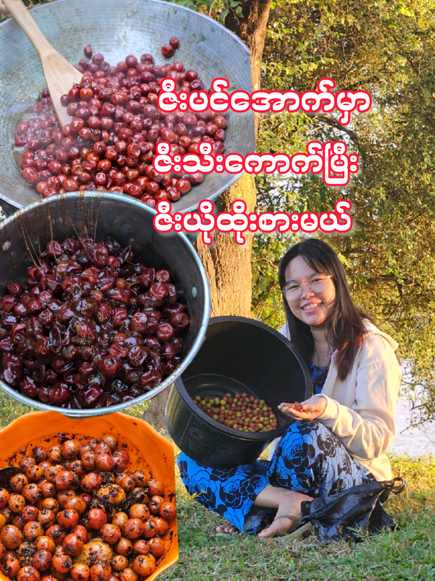 ဇီးပင်အောက်မှာ ဖြိုးကိုယ်တိုင်ကောက်ထားတဲ့ဇီးသီးတွေနဲ့ ဇီးယိုထိုးစားမယ် #PHYO #ဇီးယို #ဇီးသီးချိုချဉ်ငံစပ်#foodvlog 