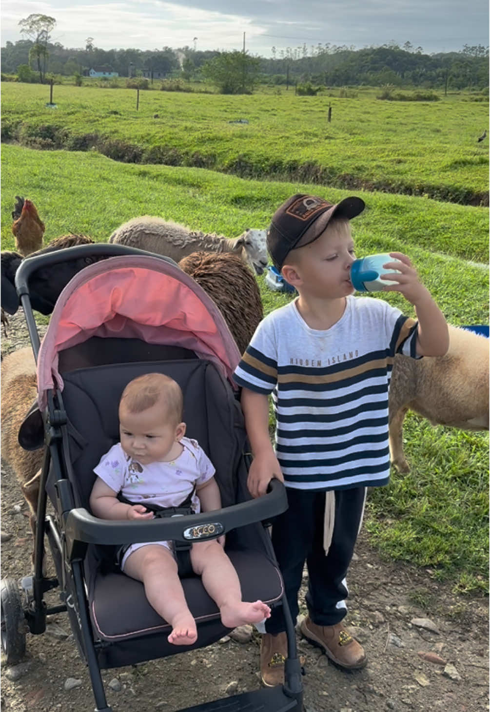 Uma abençoada sexta-feira a todos nós 🧑🏼‍🌾👧😍❤️🙏🏻🙌🏻