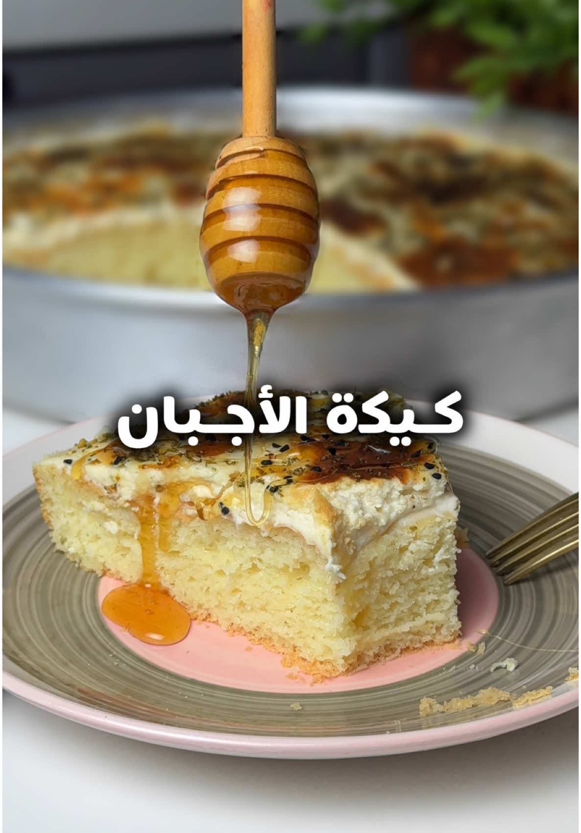 كيكة الاجبان🧀   اسفنجية هشة وقطنية وعليها خليط  من الاجبان كيكة تحضن وتدفي جربوها بهذه الطريقة مضمونة وتنجح معاكم من اول مرة👍🏻 📌  مقادير الكيكة: كوب ونص حليب دافي نص م ك خميرة م ك سكر ٢ بيض  علبة زبادي نص كوب زبدة ٣ كوب دقيق  نص م ص بيكنغ باودر  ن ص م ص ملح 📌خلطة الجبن🧀: علبة قشطة/ ٣ قطع جبن كريمي/ ٣ م ك جبن فيتا/ ٢ م ك جبن سائل حبة البركة/ زعتر/ سمسم  لخبز الكيك:  الفرن محمى مسبقً من تحت على درجة ١٨٠ والصينية بالوسط لمدة نص ساعة  بعد ماتستوي نضيف خليط الجبن ونحمرها من فوق والصينية بالوسط  على درجة ١٦٠ تقريباً  وبالعافية😋 #tiktokcook #explore #foryoupage #viral #fyp #Recipe #food #recipes #وصفات 