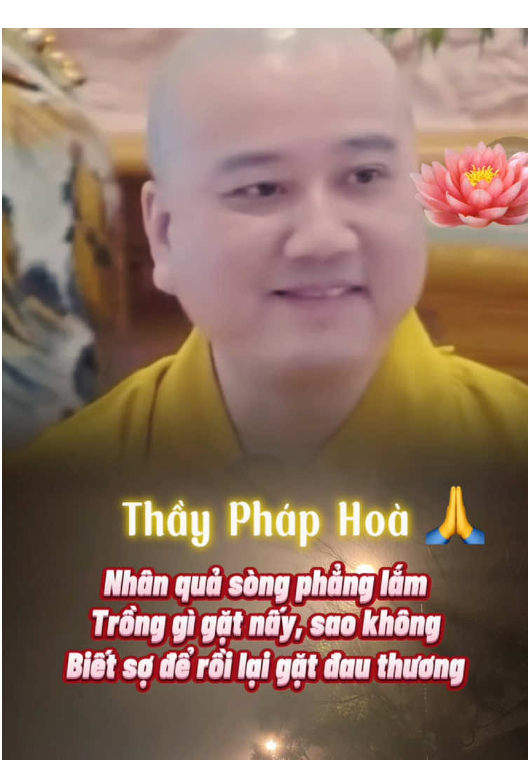 Nhân duyên hội ngộ thời quả báo hoàn tự tại #tinhthuc1an #thichphaphoa #thuyetphap #daophatvadoisong #adidaphat #xuhuong 