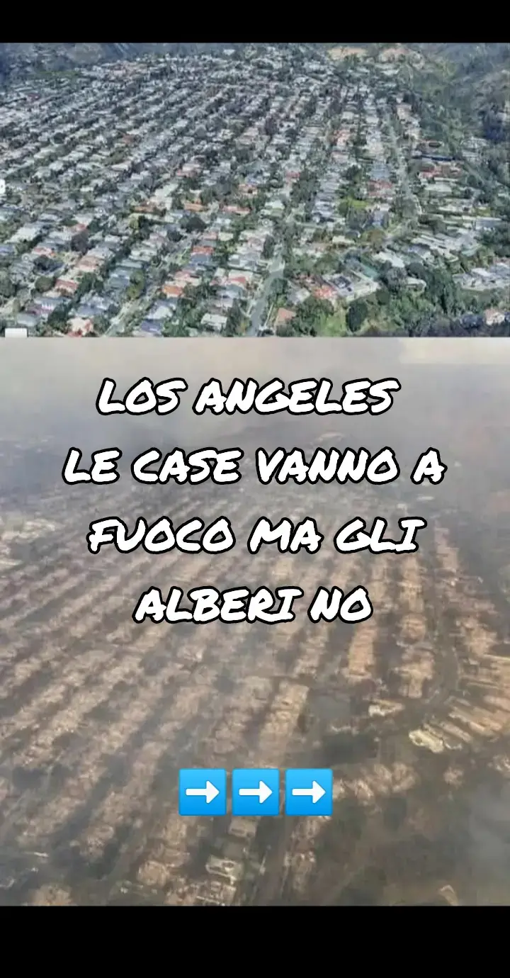 gli incendi di Los Angeles...il male sta bruciando #losangeles #incendio #verita #prove #risveglio 