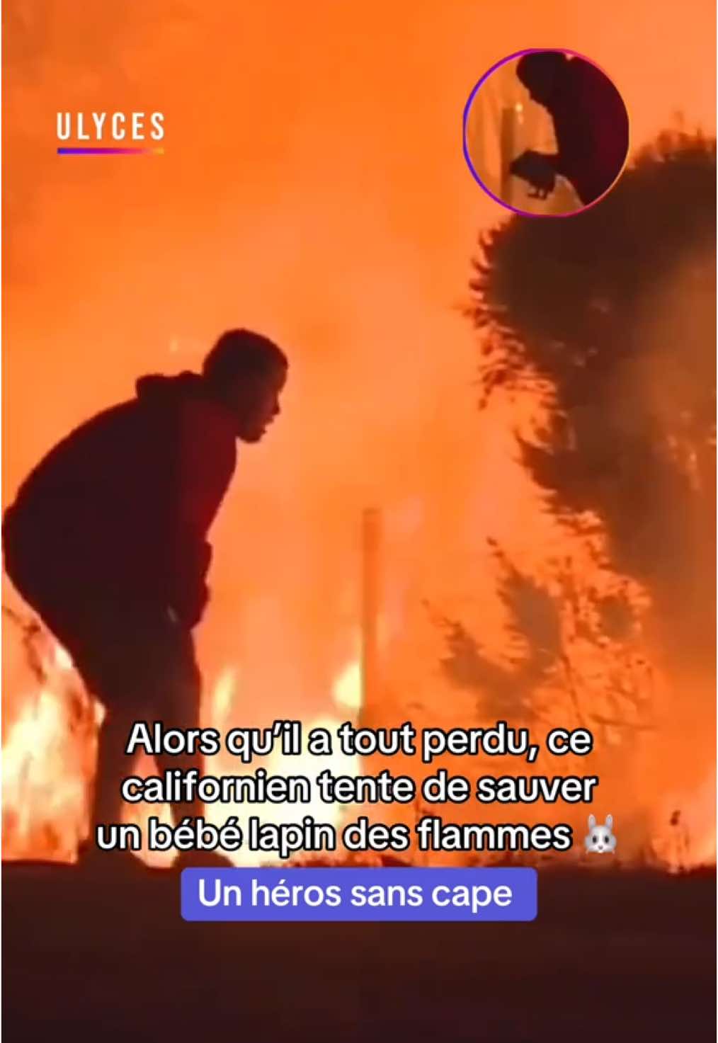 🙌 En plein chaos des incendies en Californie, un jeune homme s'est distingué par un acte de bravoure : ayant déjà tout perdu, il a risqué sa vie pour sauver un bébé lapin coincé dans les flammes. Crédit : images amateur #actualite #information #californie  