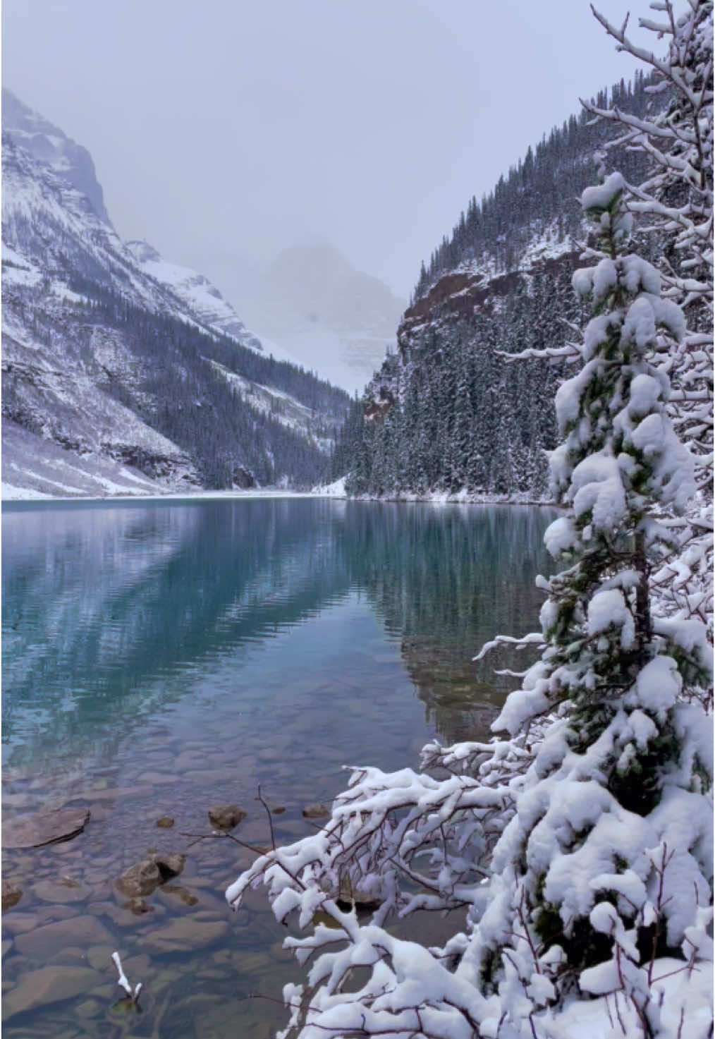 Winter wonderland #🇨🇦 #alberta #banff #canada #winter #snow 