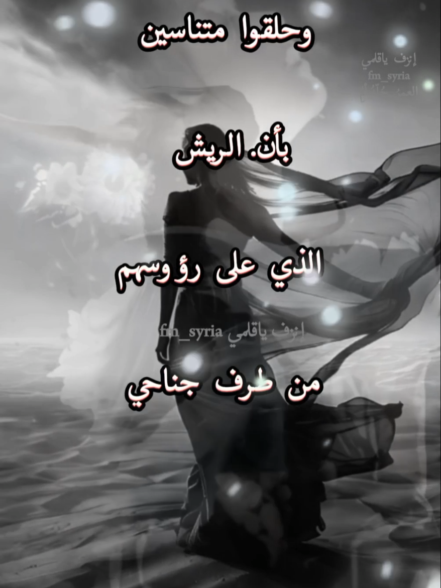 #🥀ــــــــــــــہہہـ٨ـــ٨ـ💔🖤🥀 #لا_تهزني_فأنا_ممتلئة_بالدموع #إنزف_ياقلمي_العمر_جله_ألمِ #كلماتي #✍🏻 #بقلمي #للعقول_الراقية_فقط🤚🏻💙 #خواطر_من_القلب #fypシ  #greenscreen #اكسبلور #🖤🥀 #كتاباتي_للعقول_الراقية🥀 #عبارات_خواطر_✍اقتباسات_موسيقى🎵  #فيديوهاتي_تصاميمي🎶🎬 #حكم_وأمثال_وأقوال  #خواطر_مكتوبه #عبارات_جميلة🦋💙 #عبارات_حزينه💔 #2025 